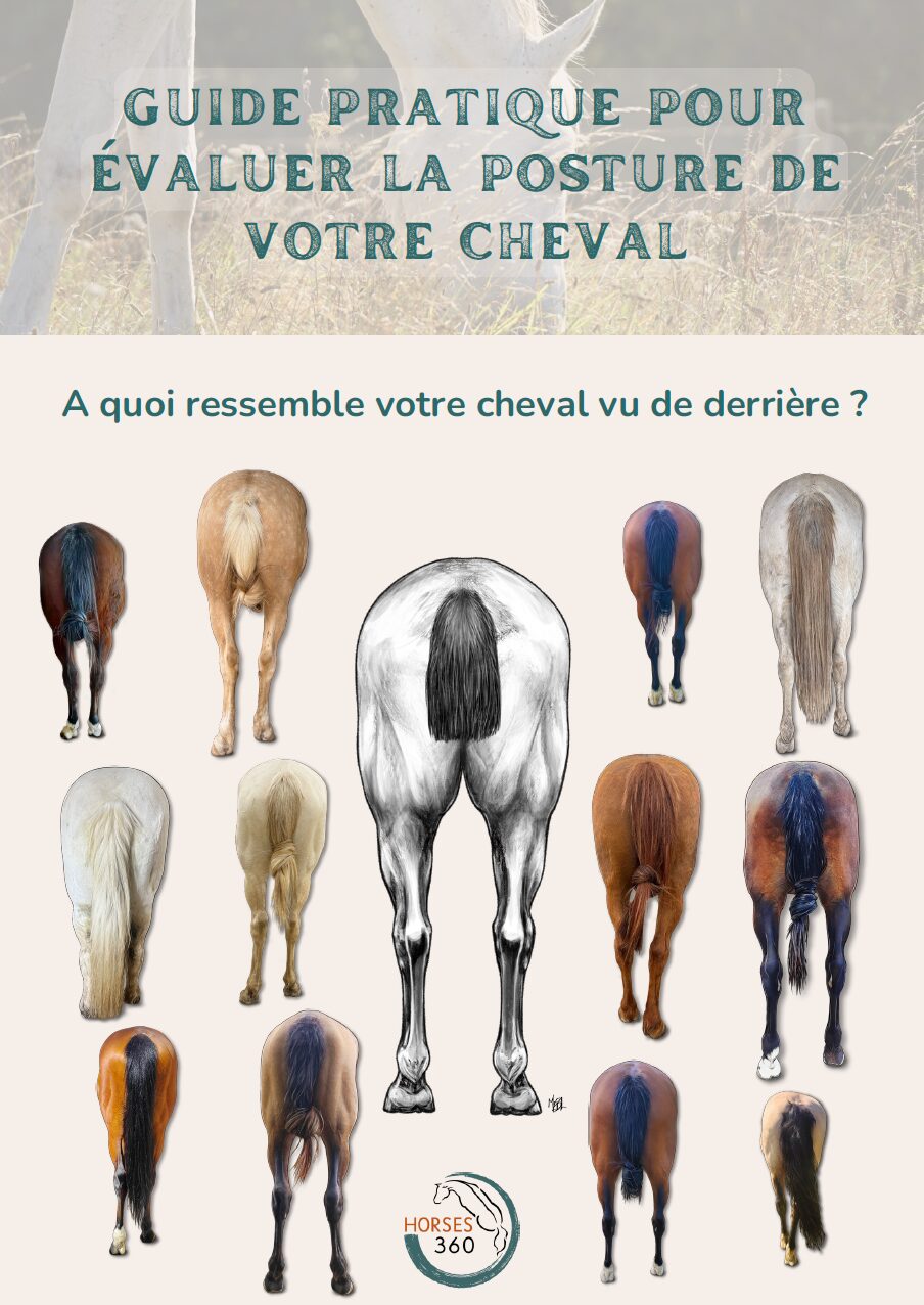 Guide pratique: évaluer la posture vue de derrière