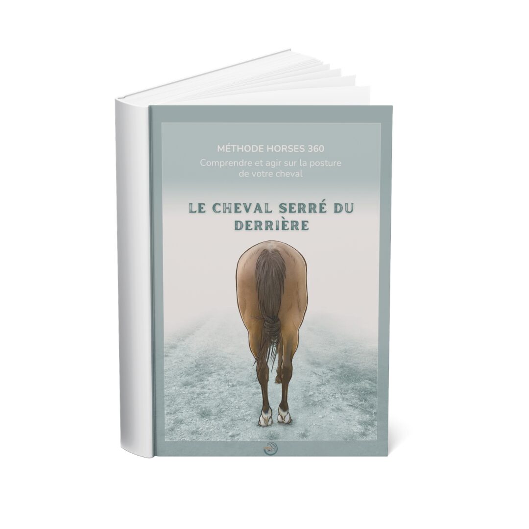 Le cheval serré du derrière